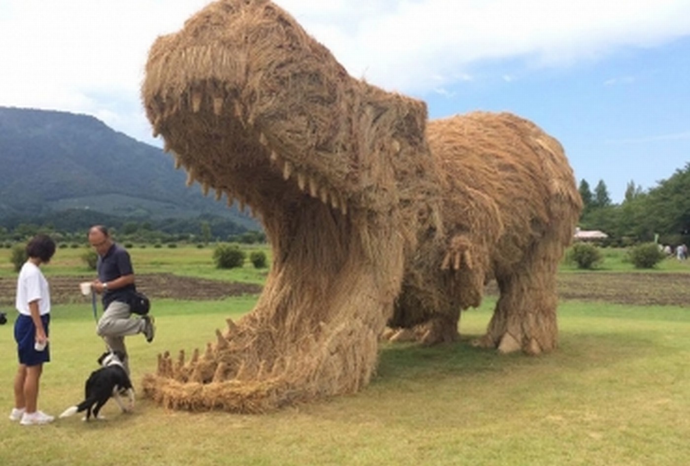 Những 'quái vật' khổng lồ bằng rơm ở Nhật Bản